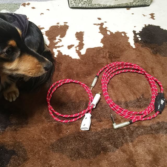 urucotoさんの実例写真