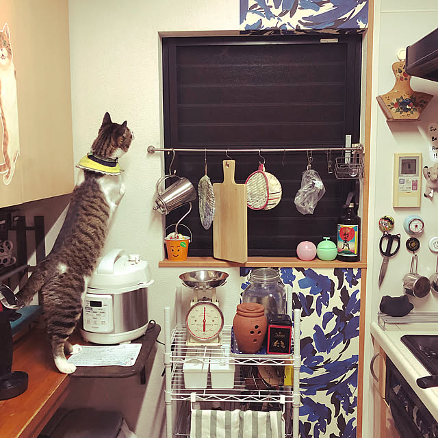 jijiさんの実例写真