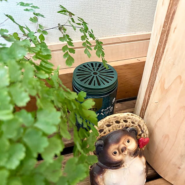chachamamaさんの部屋