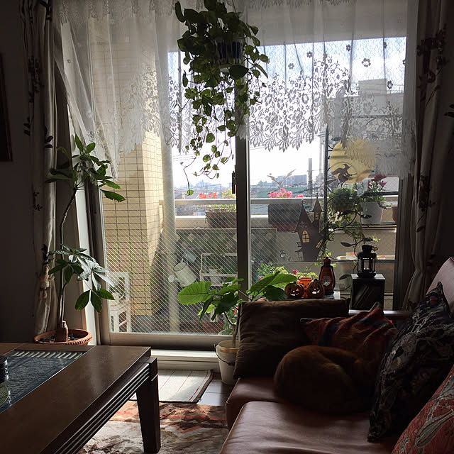 sleptcatさんの実例写真