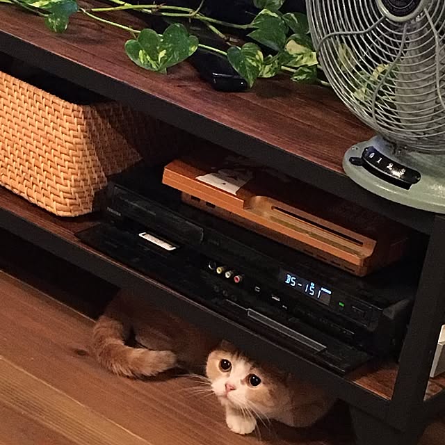 maruさんの実例写真