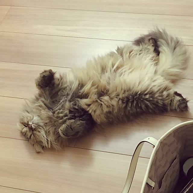 musicsukiさんの実例写真