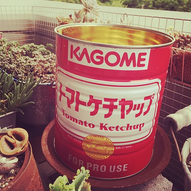 sacchiさんの実例写真