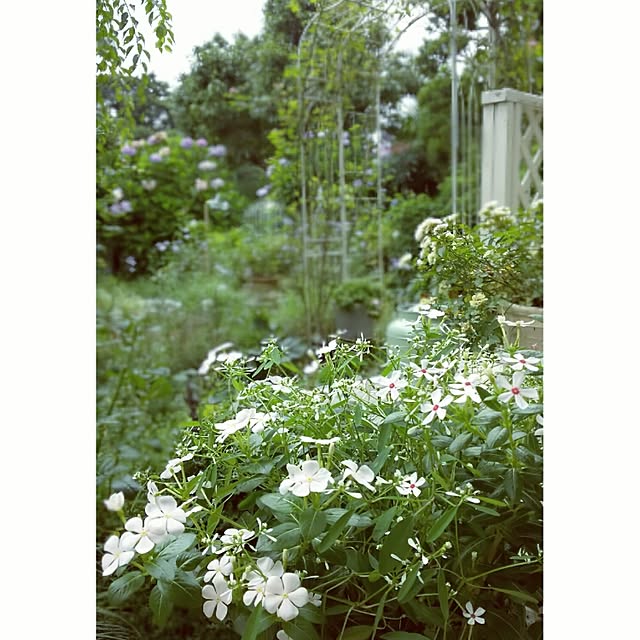 s.mamaさんの実例写真
