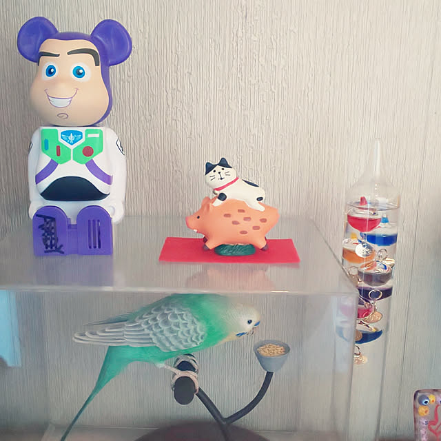 kumimmyさんの実例写真