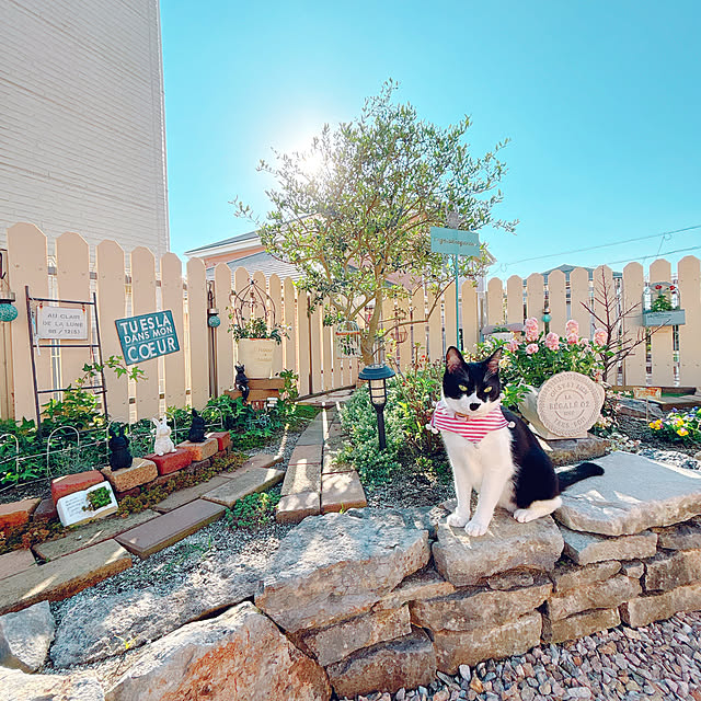 moolさんの実例写真