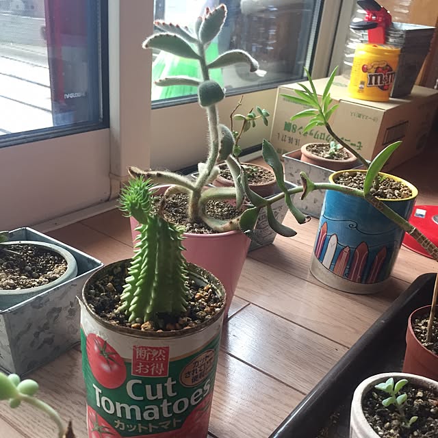 nagiさんの実例写真