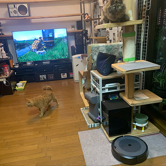 nekohagu2022さんの実例写真
