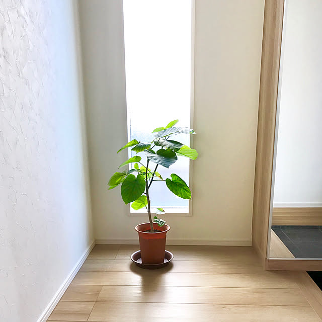 suzurinhomeさんの実例写真