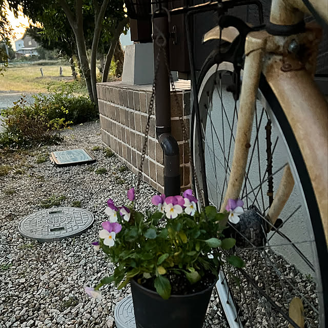 miyaさんの実例写真