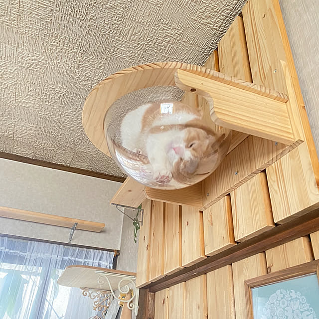 mintteaさんの部屋