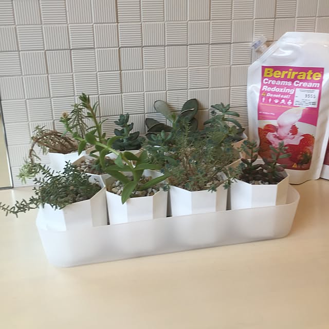 バス/トイレ/多肉植物のインテリア実例 - 2015-12-23 15:07:01