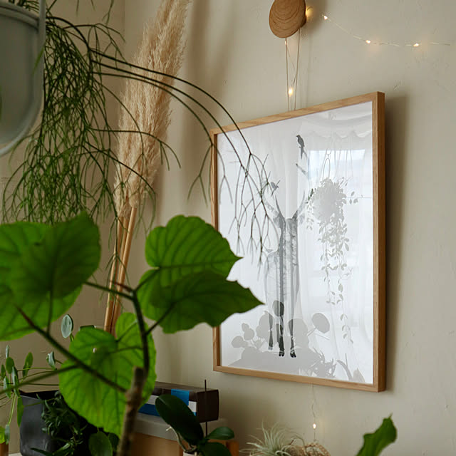 Hisayoさんの部屋