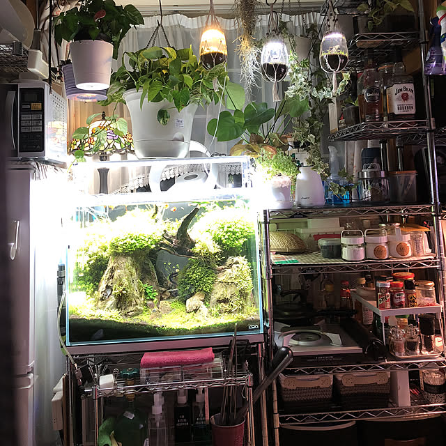 部屋全体/観葉植物/男前/照明のインテリア実例 - 2018-06-10 19:34:21