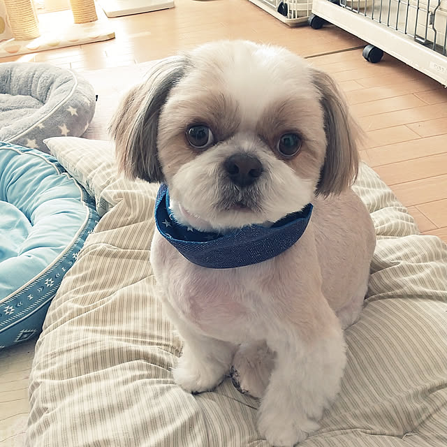 ronさんの実例写真