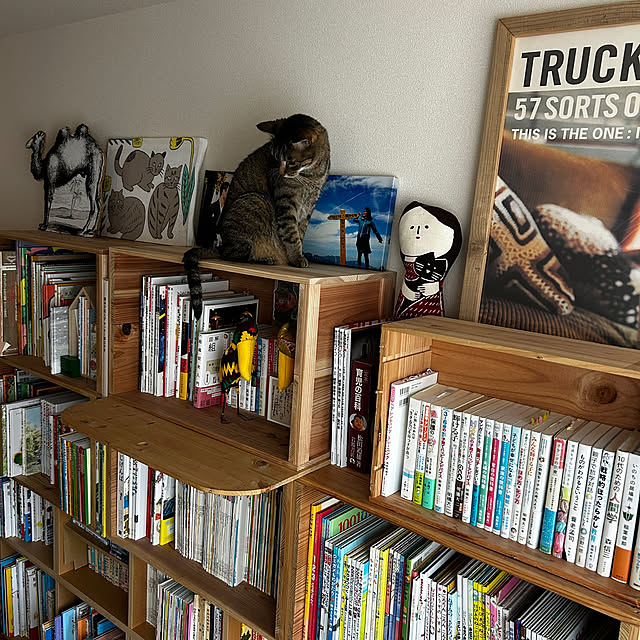 mikomaruさんの部屋