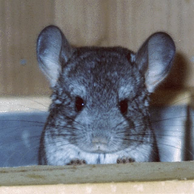 otomatuさんの実例写真