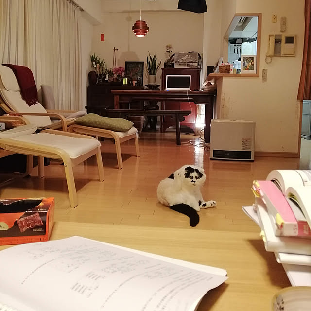 ayさんの実例写真