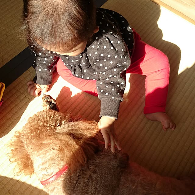 fukiさんの実例写真
