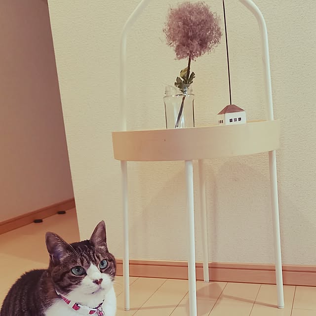 civicglさんの実例写真