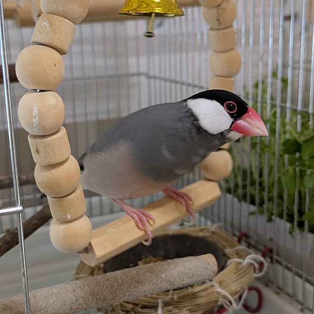 escargotさんの部屋