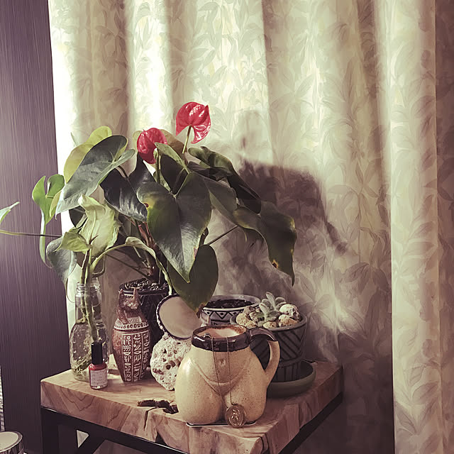 yuhyang.171222さんの実例写真