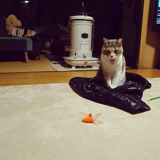 fukuさんの実例写真