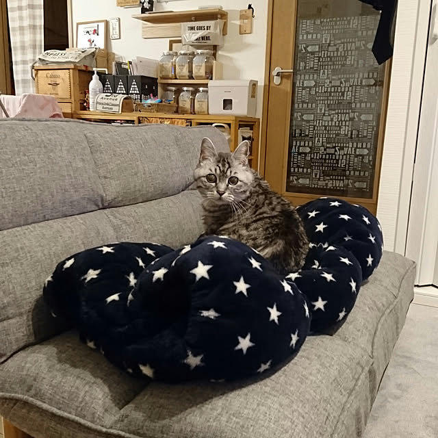 kiriさんの実例写真