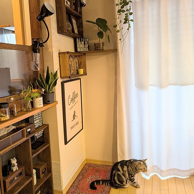 lovepeaceさんの実例写真