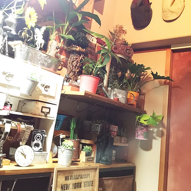 M.T.mikio-dethさんの実例写真