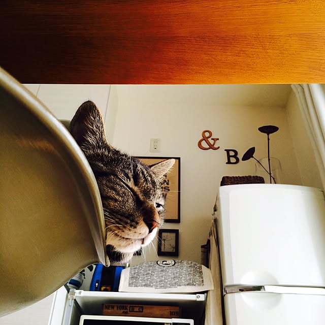 maruさんの実例写真