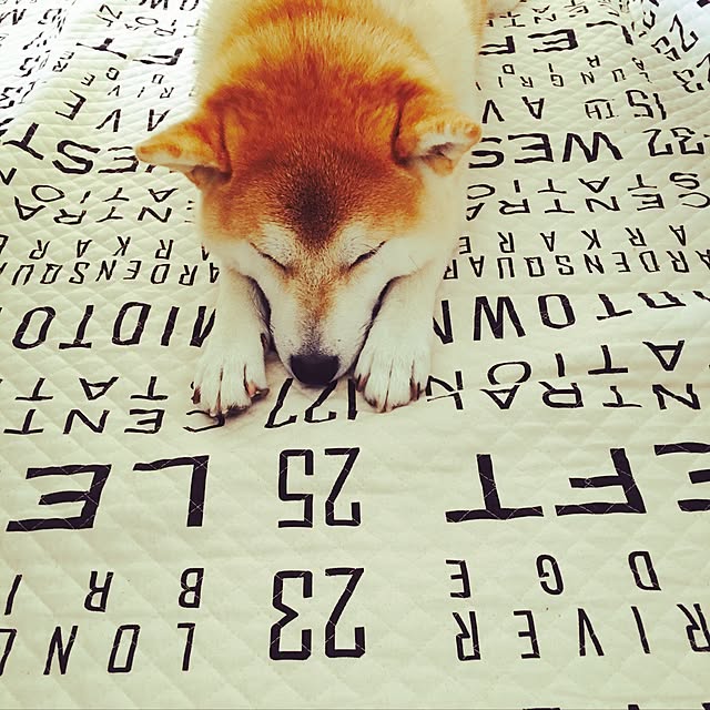 yukaさんの実例写真