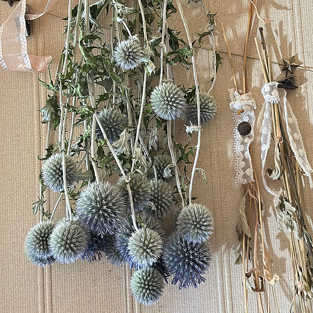 nyajiさんの部屋