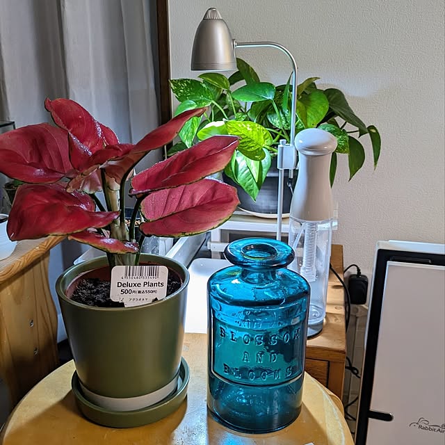 mi-saさんの部屋