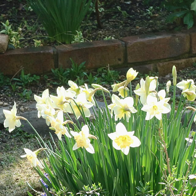 rokokoさんの部屋