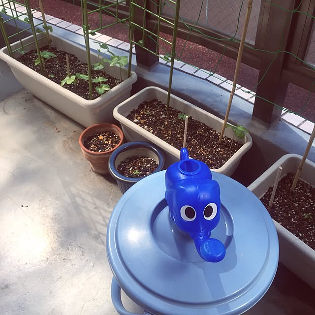 emichanbooさんの実例写真