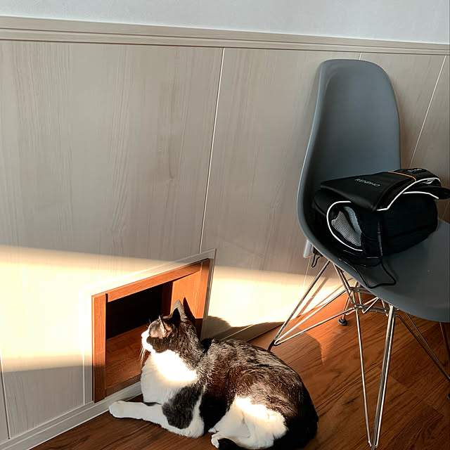 mikeume7さんの実例写真