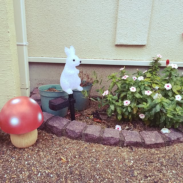 Arataさんの実例写真