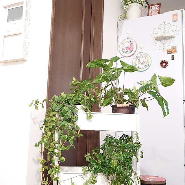 mayuroseさんの部屋