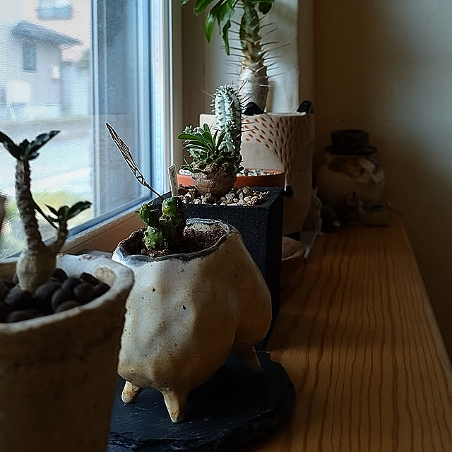 t.yumiさんの実例写真