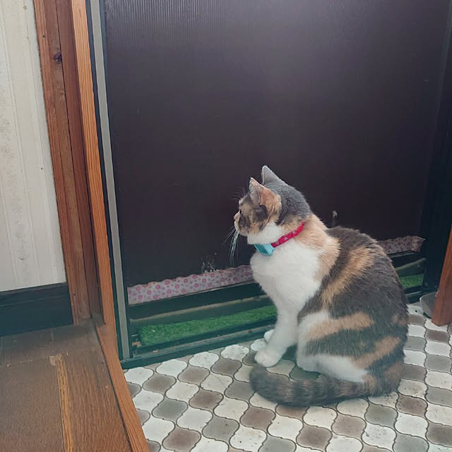 fukuさんの実例写真