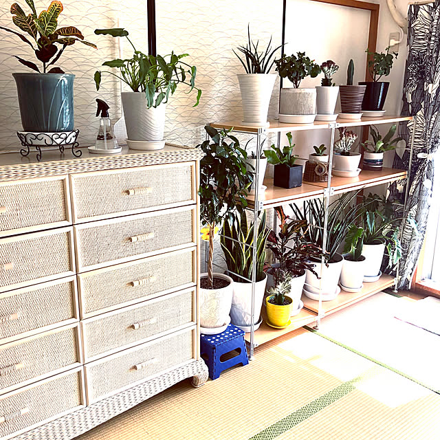 hanachanさんの部屋