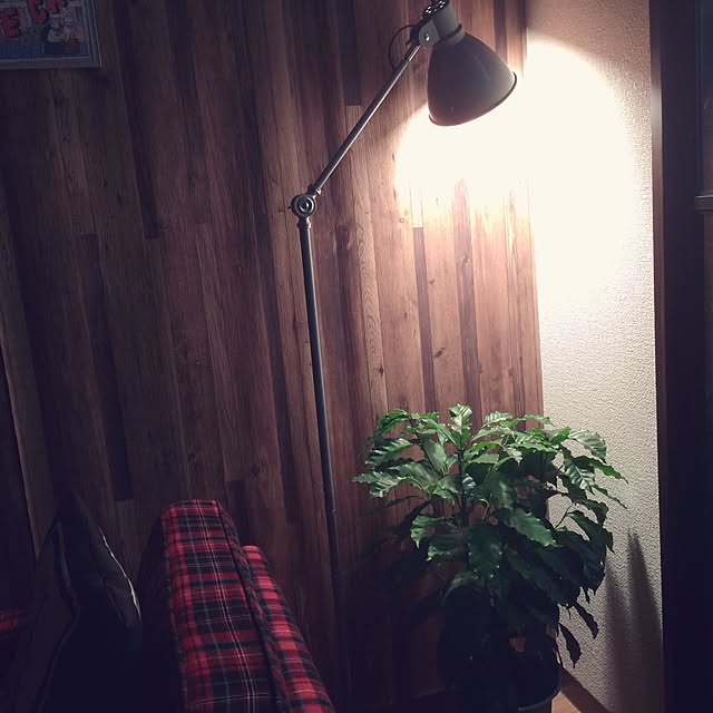purinさんの実例写真