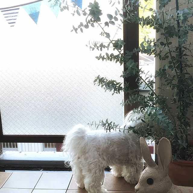 Sonokoさんの実例写真