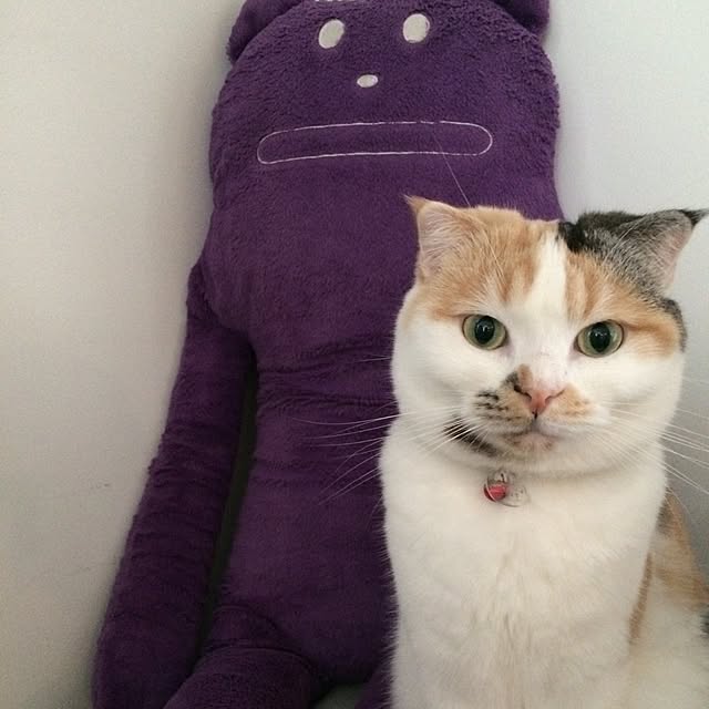 saoru...306...さんの実例写真