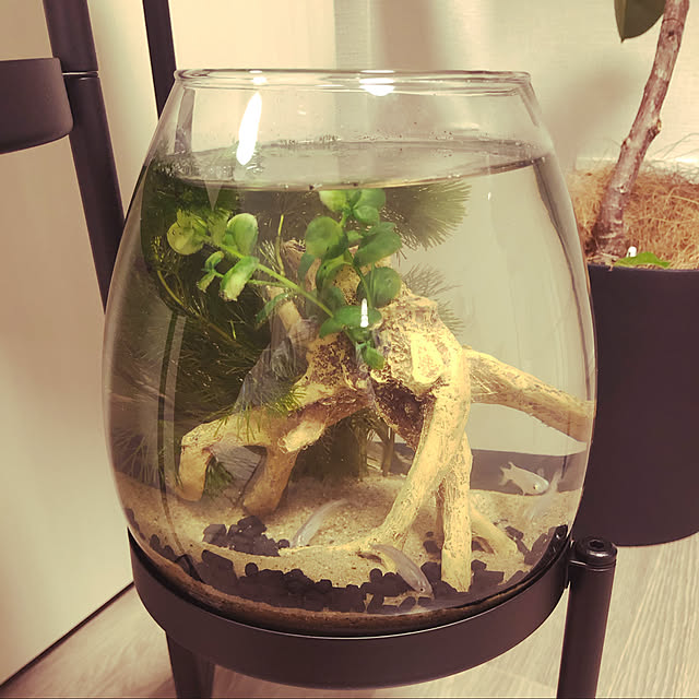 heidi0935さんの実例写真