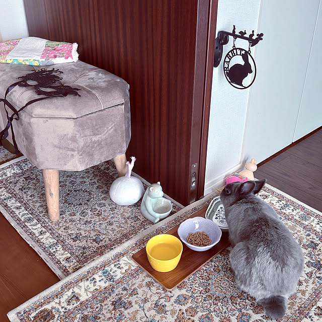 kirariさんの実例写真