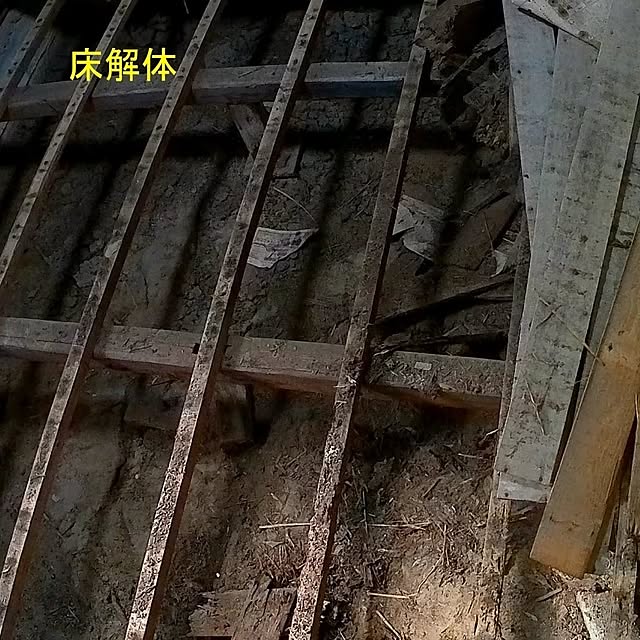 littlejoyさんの部屋