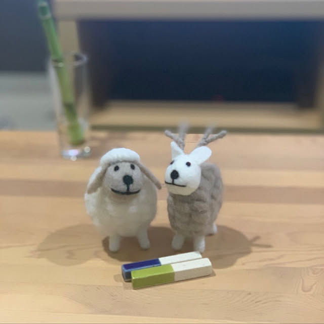 実例写真