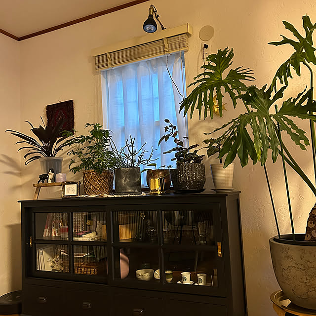 Cashuminさんの実例写真